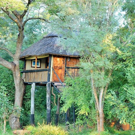 Ivory Lodge Dete Eksteriør billede