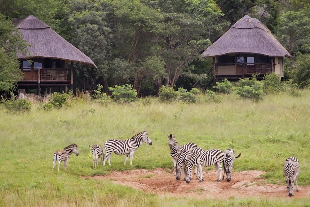 Ivory Lodge Dete Eksteriør billede