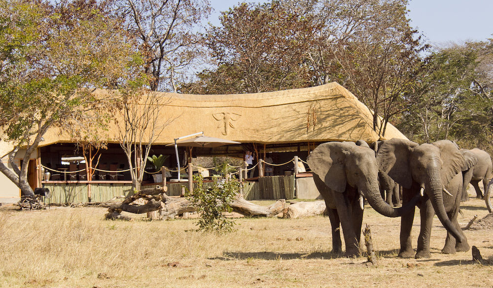 Ivory Lodge Dete Eksteriør billede